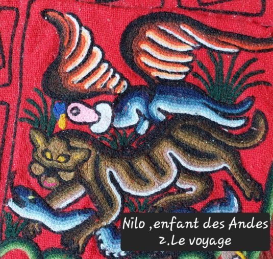 Nilo, enfant des Andes – Image 2